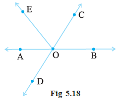 Page 101 Chapter 5 Class 7th Non-Rationalised NCERT 2019-20